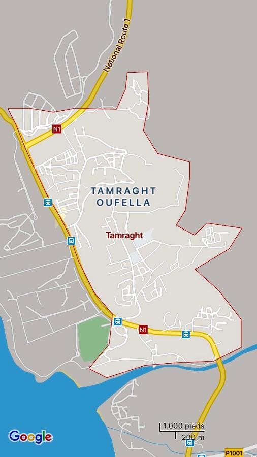 Tighola